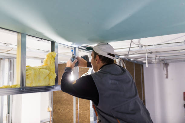 Best Basement Insulation  in USA